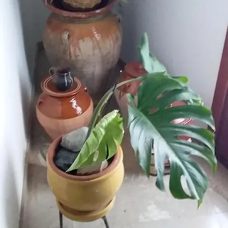 Loft Castelló *