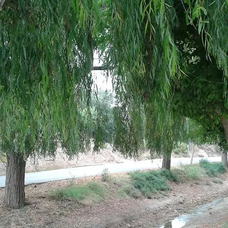 בית נופש Loft Castello *